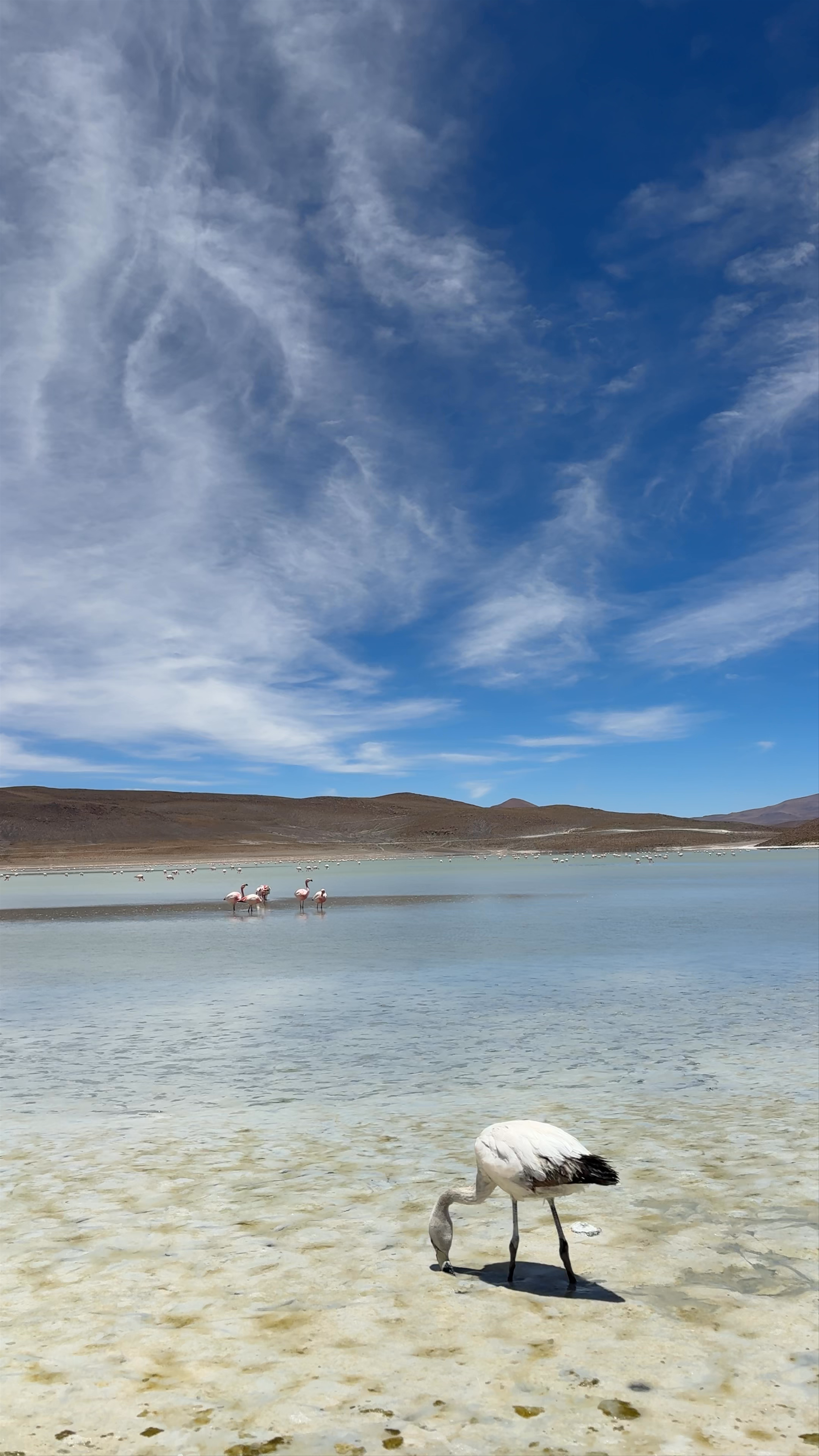 Mirador de la Laguna Hedionda