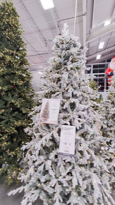 At Home - Video of pre lit trees in the interior store - Furniture Stores Near Me - Austin, Texas