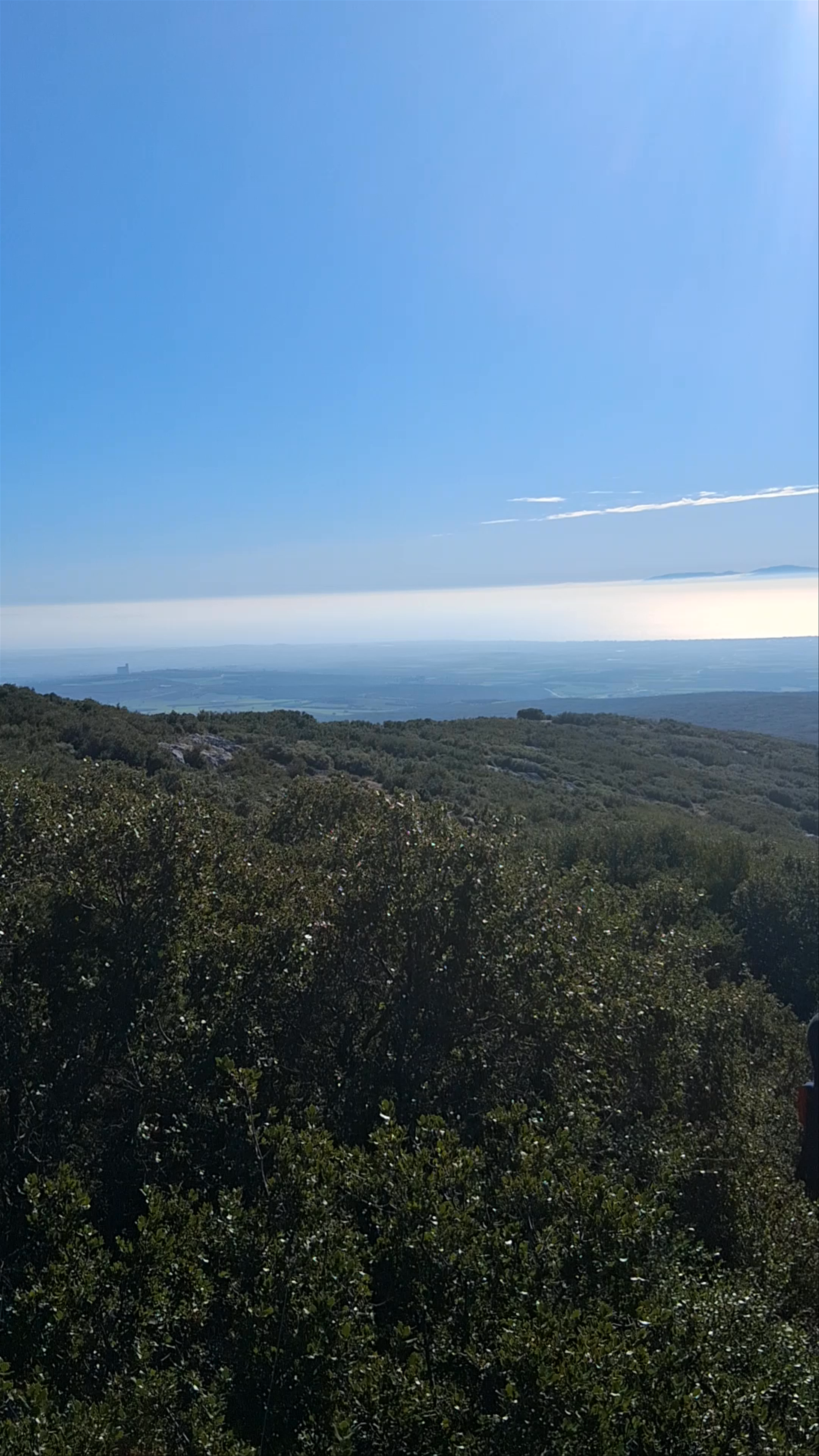 Katsika