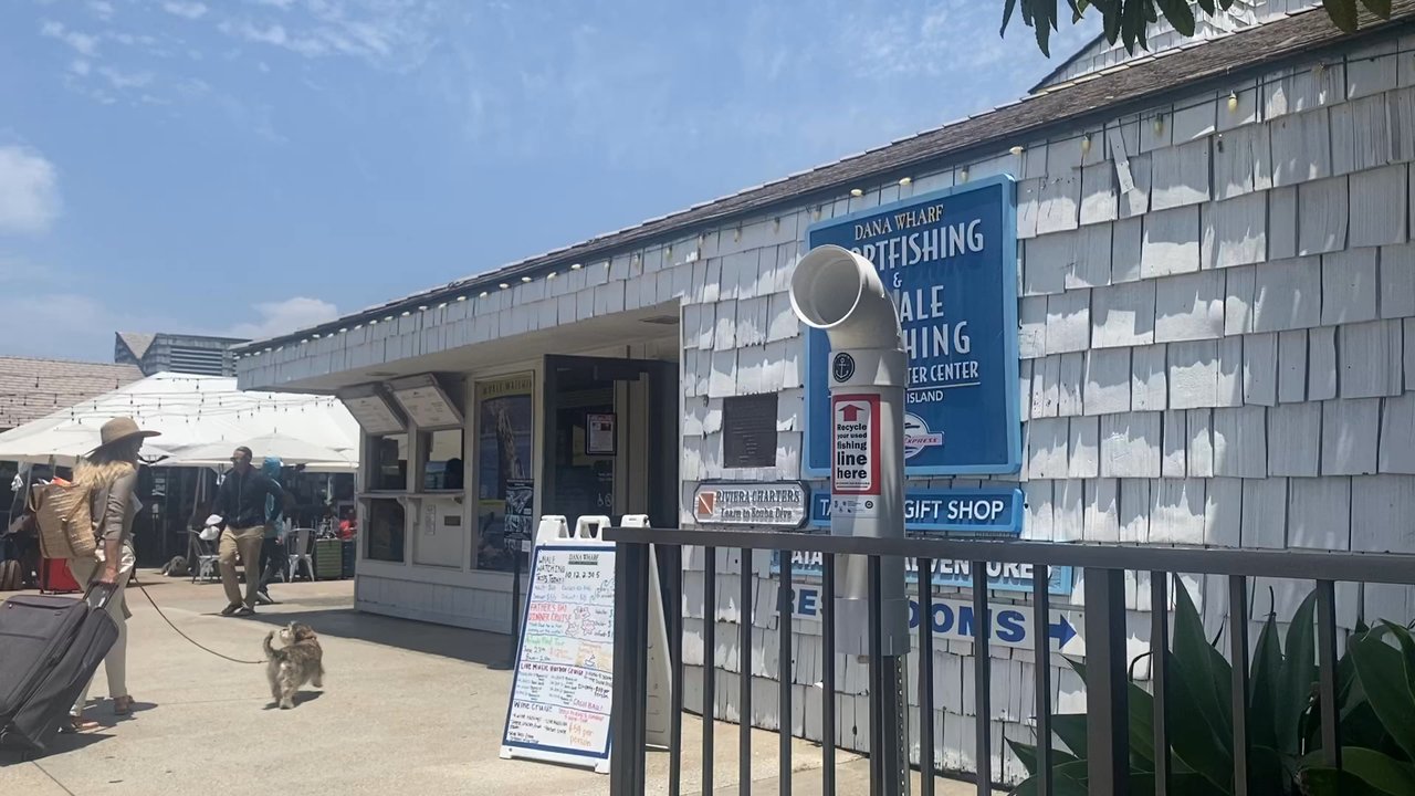 Catalina Express - This is the place to go - Transportation Near Me - Dana Point, California