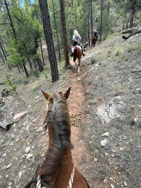 Kohl's Ranch Stables - Horseback Riding Near Me - Payson, Arizona