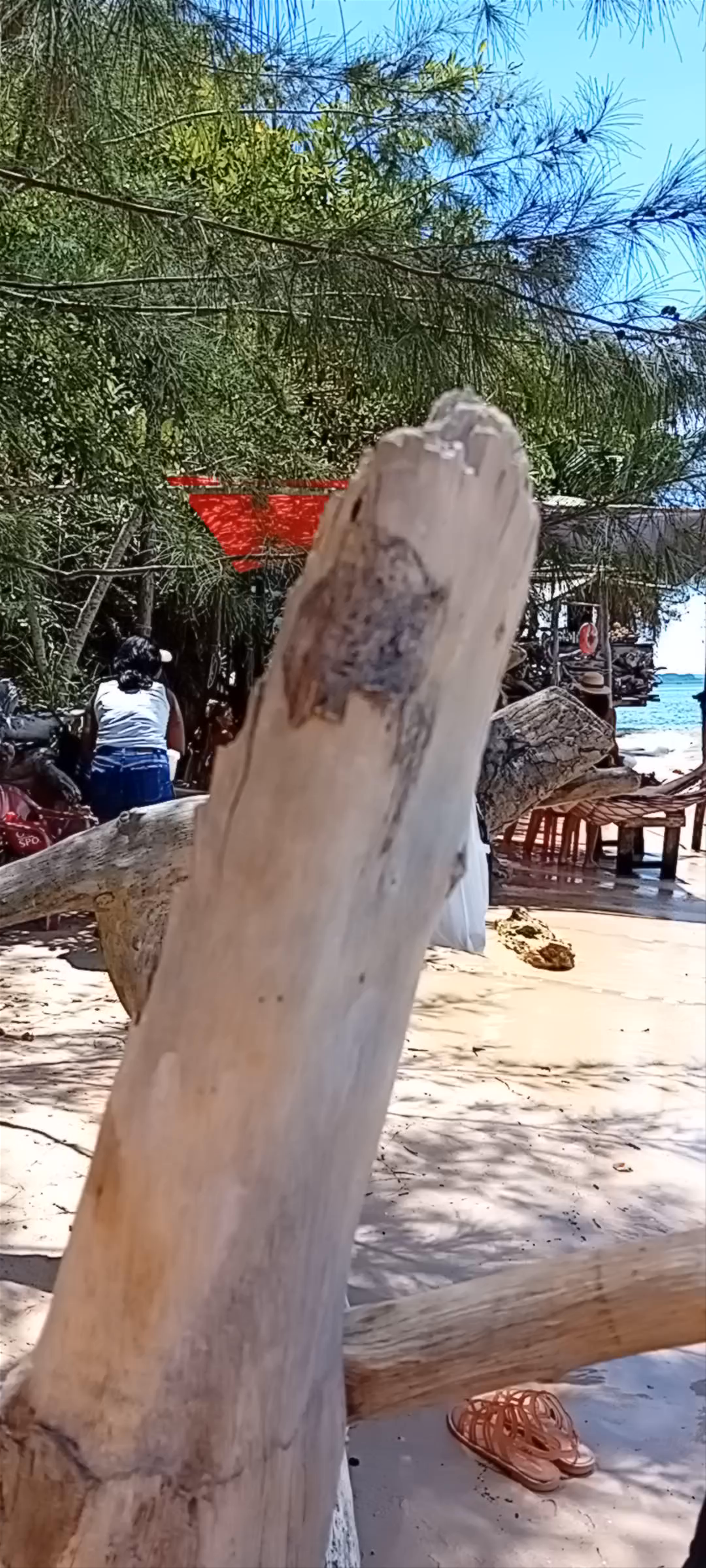 Paredão de Argila - Gamboa