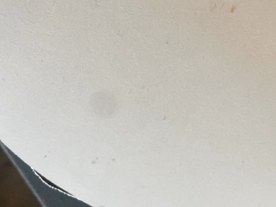 Los Hermanos Mexican Restaurant Forney - Bugs crawling on the lid of my To go order. - Mexican Near Me - Forney, Texas