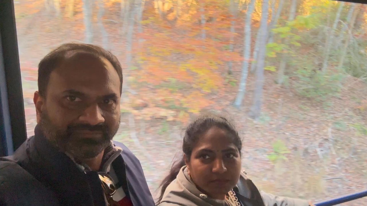 Blue Ridge Scenic Railway - Trains Near Me - Blue Ridge, Georgia