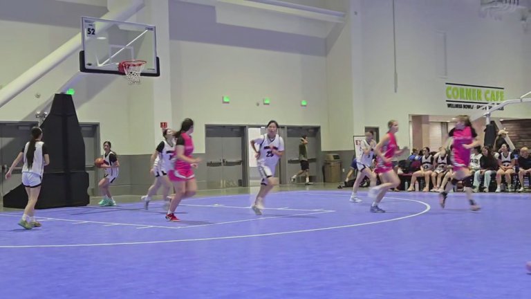 Addison Carpenter's Basketball Recruiting Profile | FieldLevel