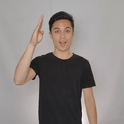 Video still of a sign language sign