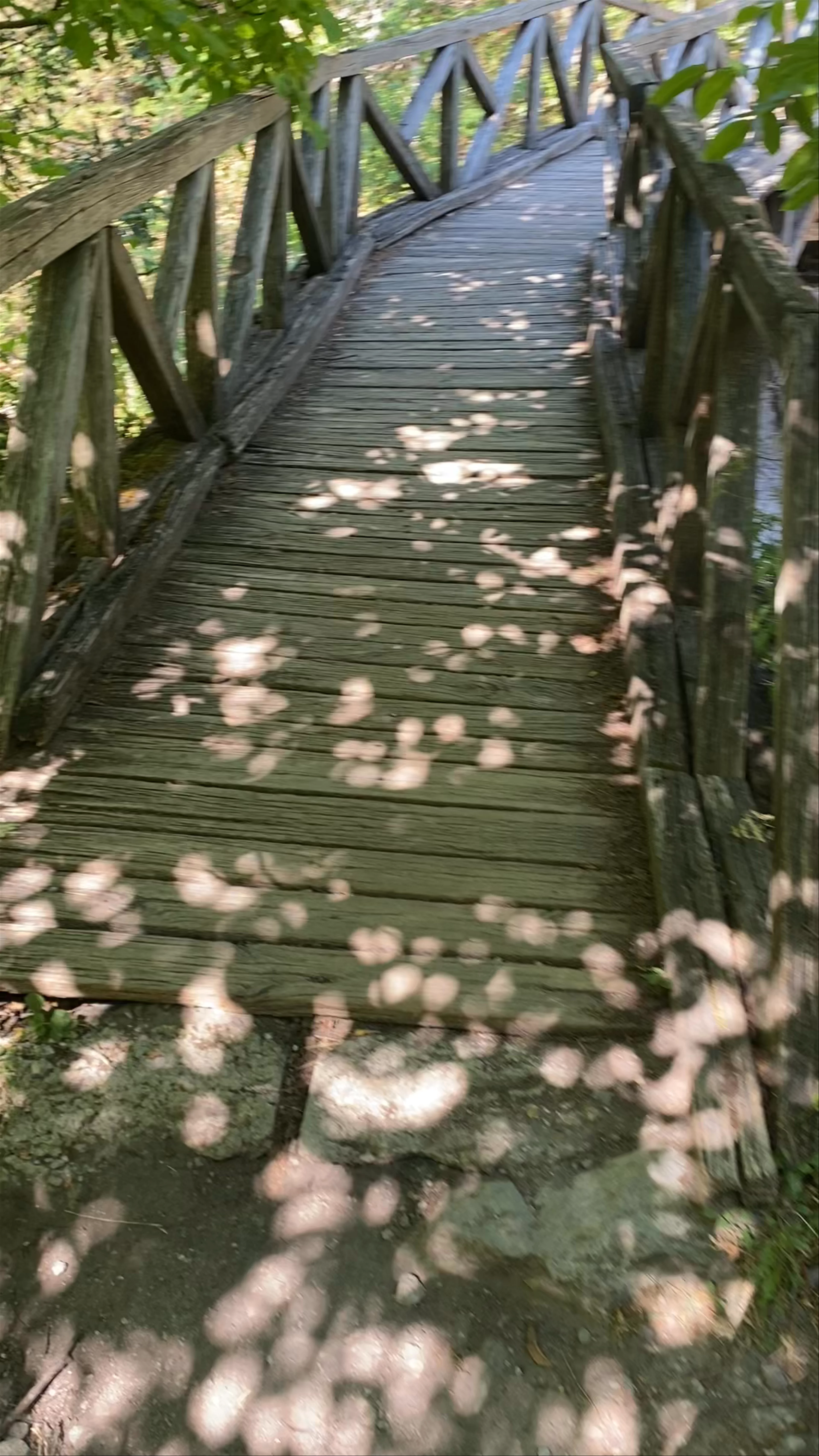 Enipeas River Bridge