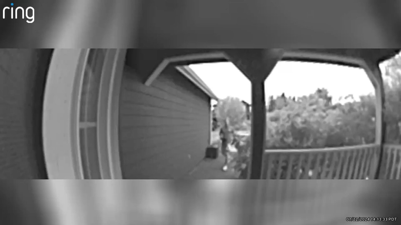 Alta Pest Control - Parker from Alta showing up in the afternoon and being notified we are not interested and continues to knock. - Pest Control Near Me - Auburn, Washington
