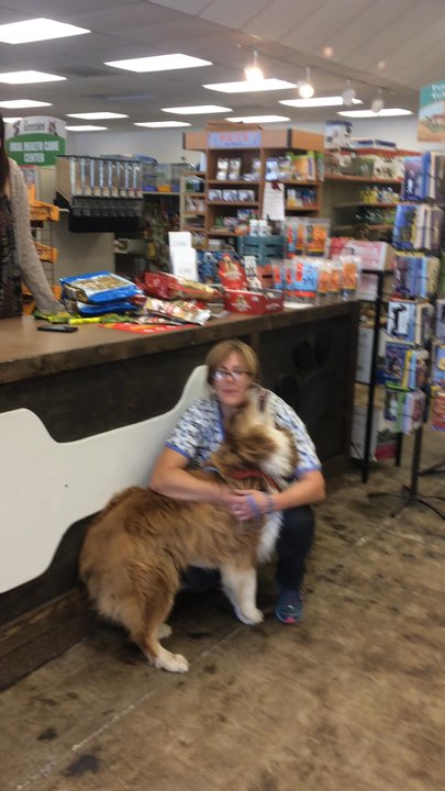 Pets & More - Beau loves his Groomer! - Pet Stores Near Me - Ojai, California