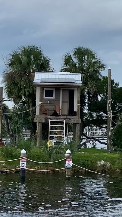 Florida Cracker Monkey Bar - Atmosphere - Bars Near Me - Homosassa, Florida