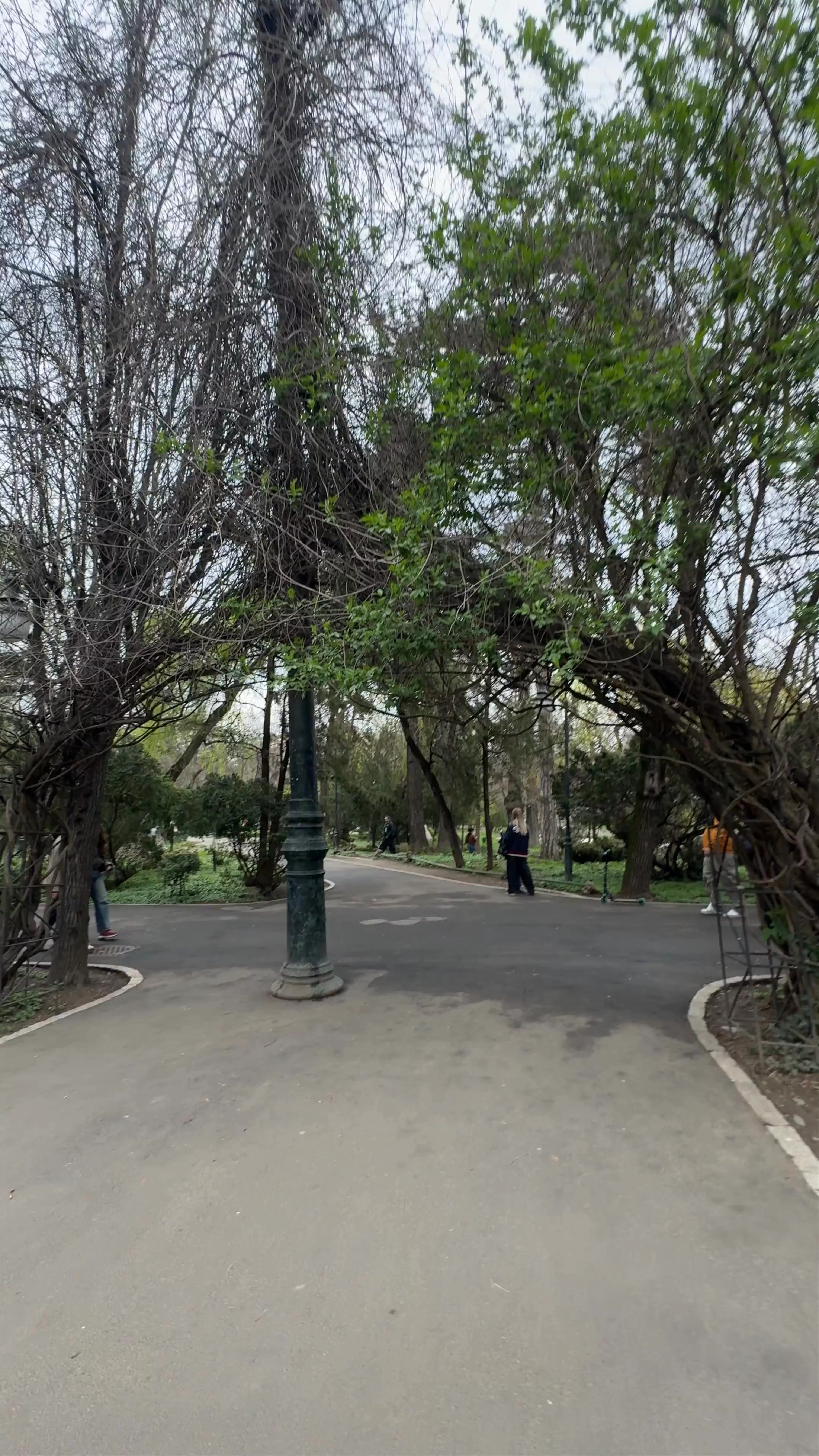 Cișmigiu Park