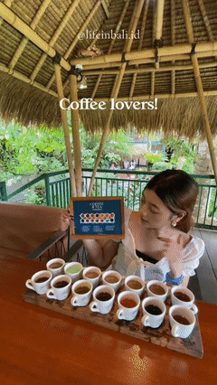 Luwak Coffee Agro Alas Harum Bali