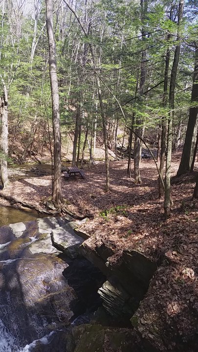 Chesterfield Gorge - The Gorge - Hiking Near Me - Spofford, New Hampshire