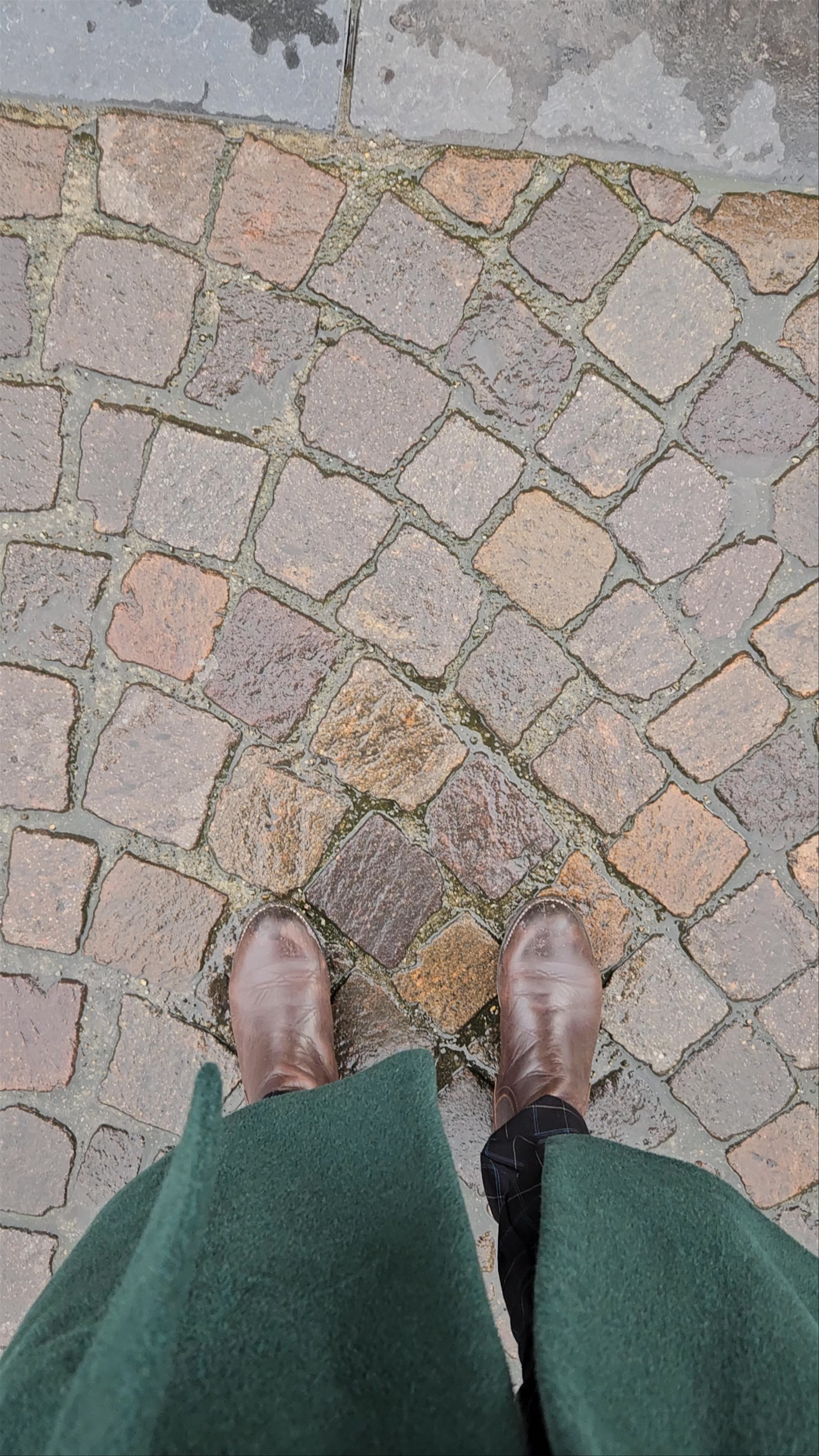 Katedra Najświętszej Marii Panny w Antwerpii