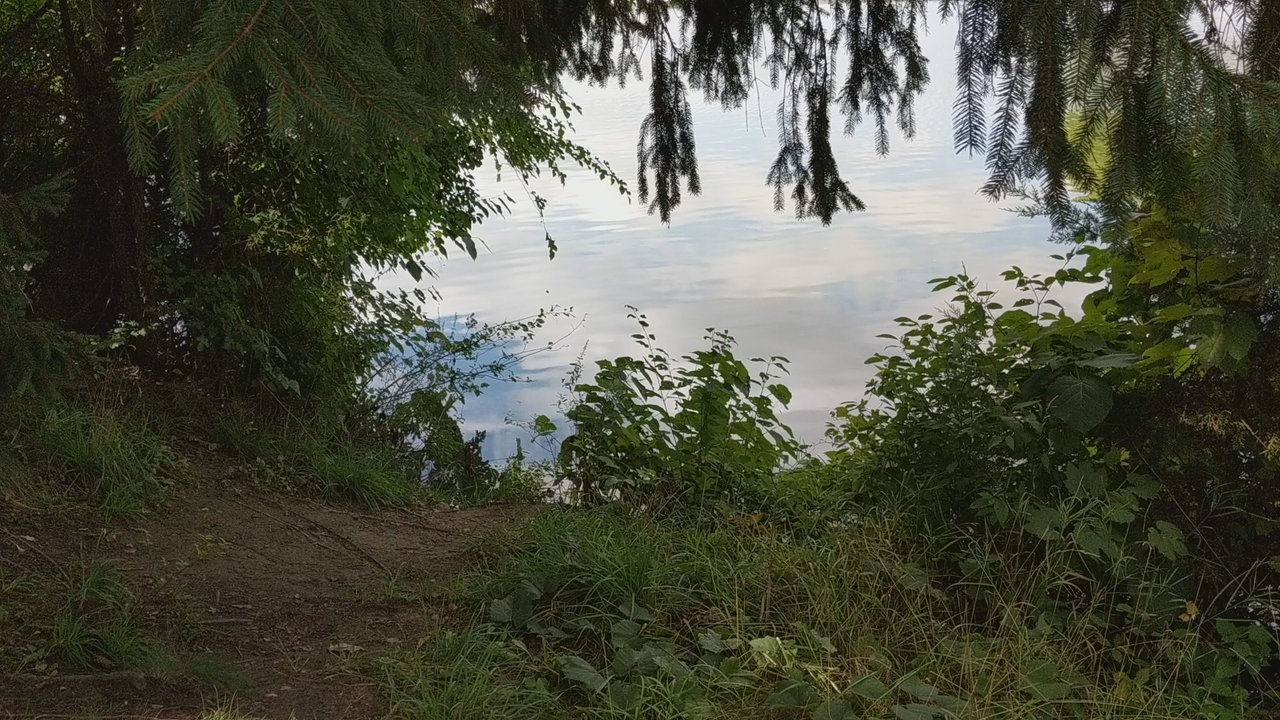 French Landing Park - Parks Near Me - Belleville, Michigan