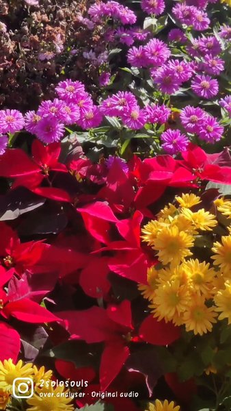 Photo of #Namsan Tower, #Seou