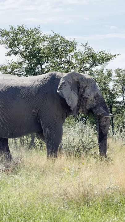 Etosha Trading Post Campsite