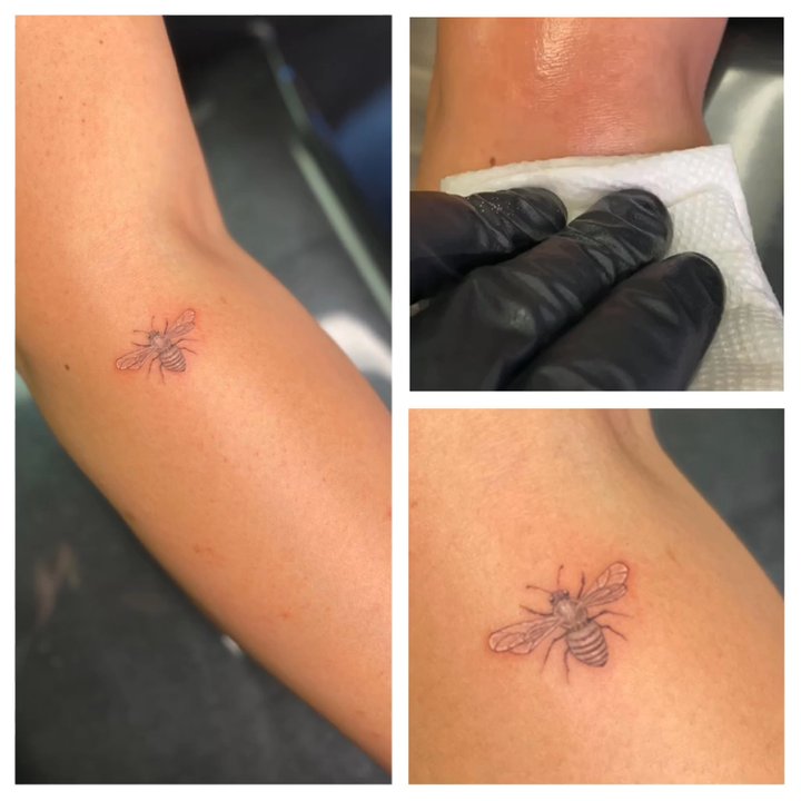 Soul Expressions Studios - Great day with Joshua Radabaugh getting this lil guy!! Beeautiful!!;) - Tattoo Near Me - Temecula, California