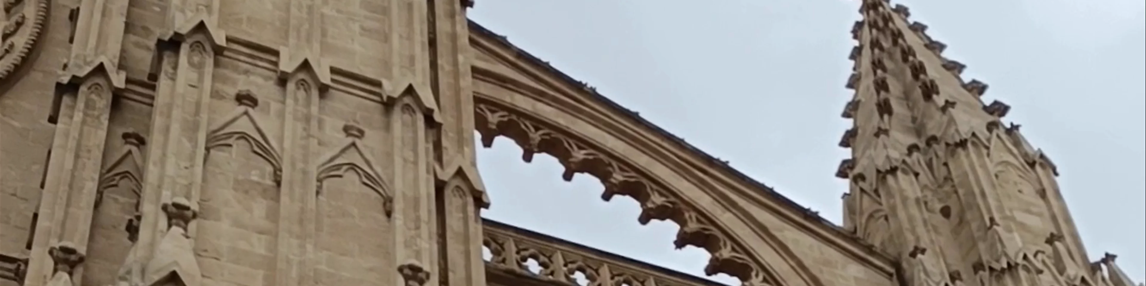 La Seu