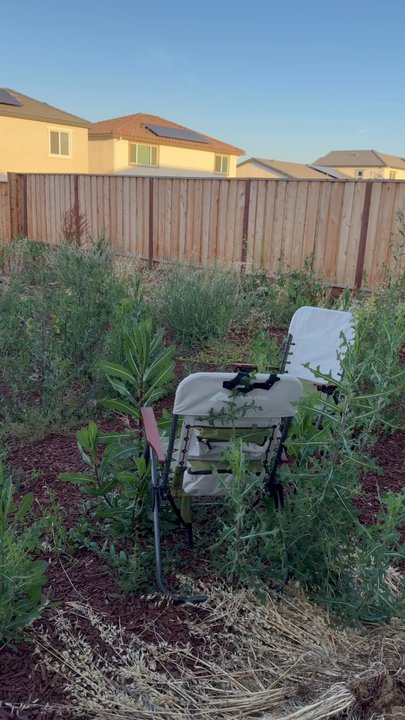 J N Gardening - Gardeners Near Me