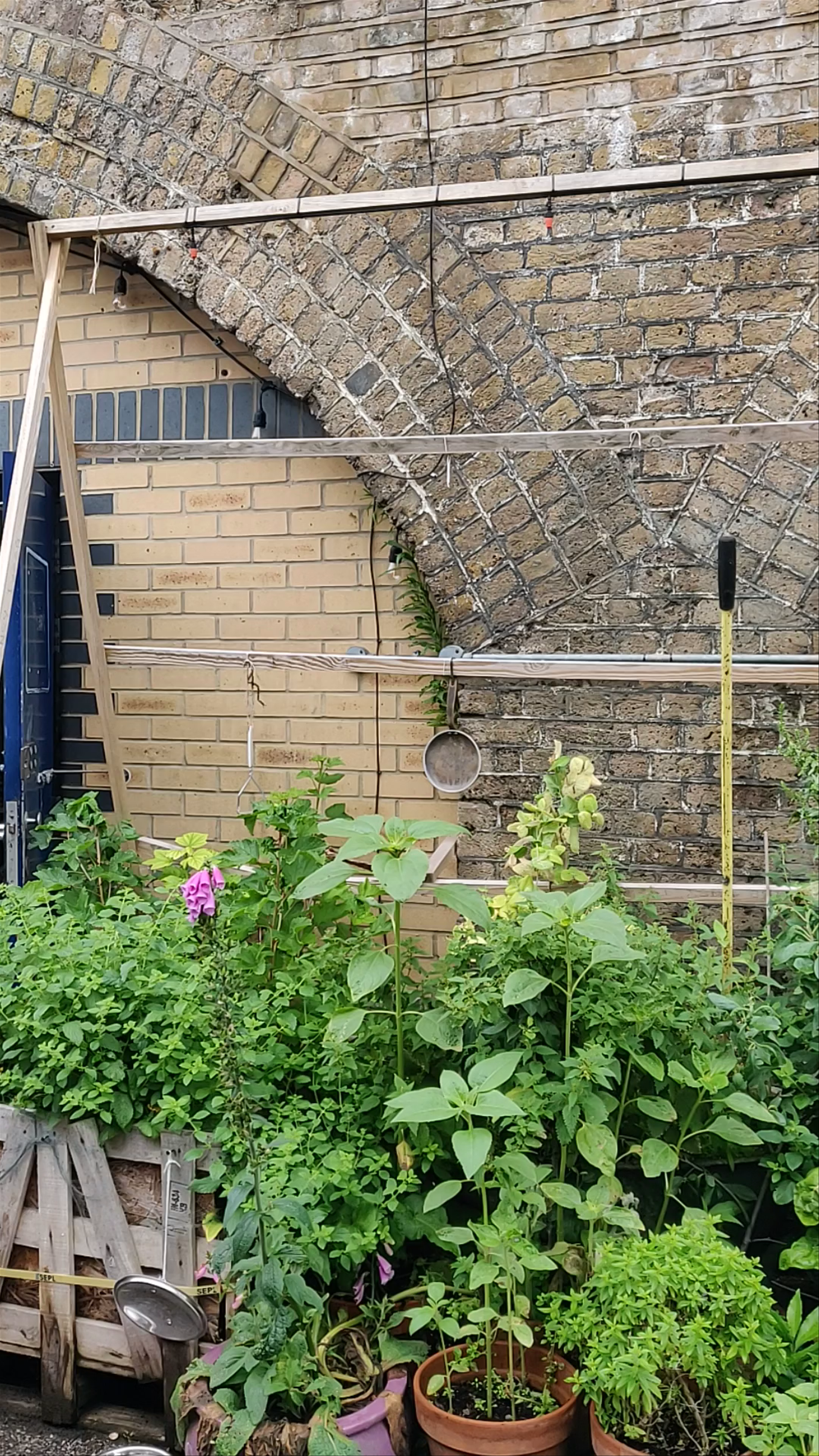 Wild Goose Bakery - Forest Gate Arches