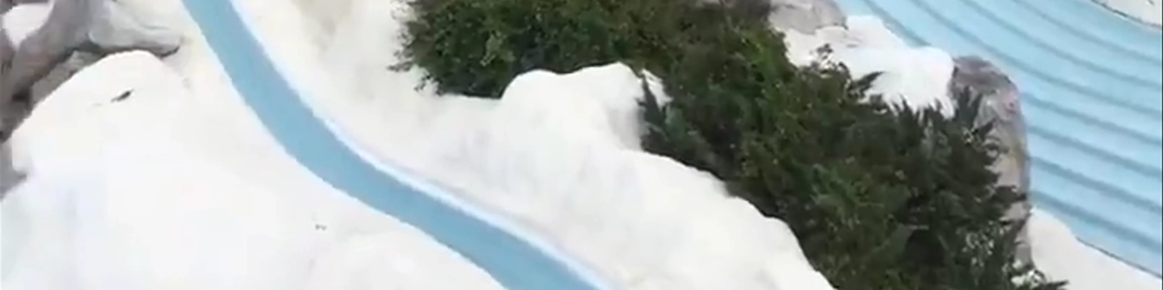 Disney's Blizzard Beach Water Park