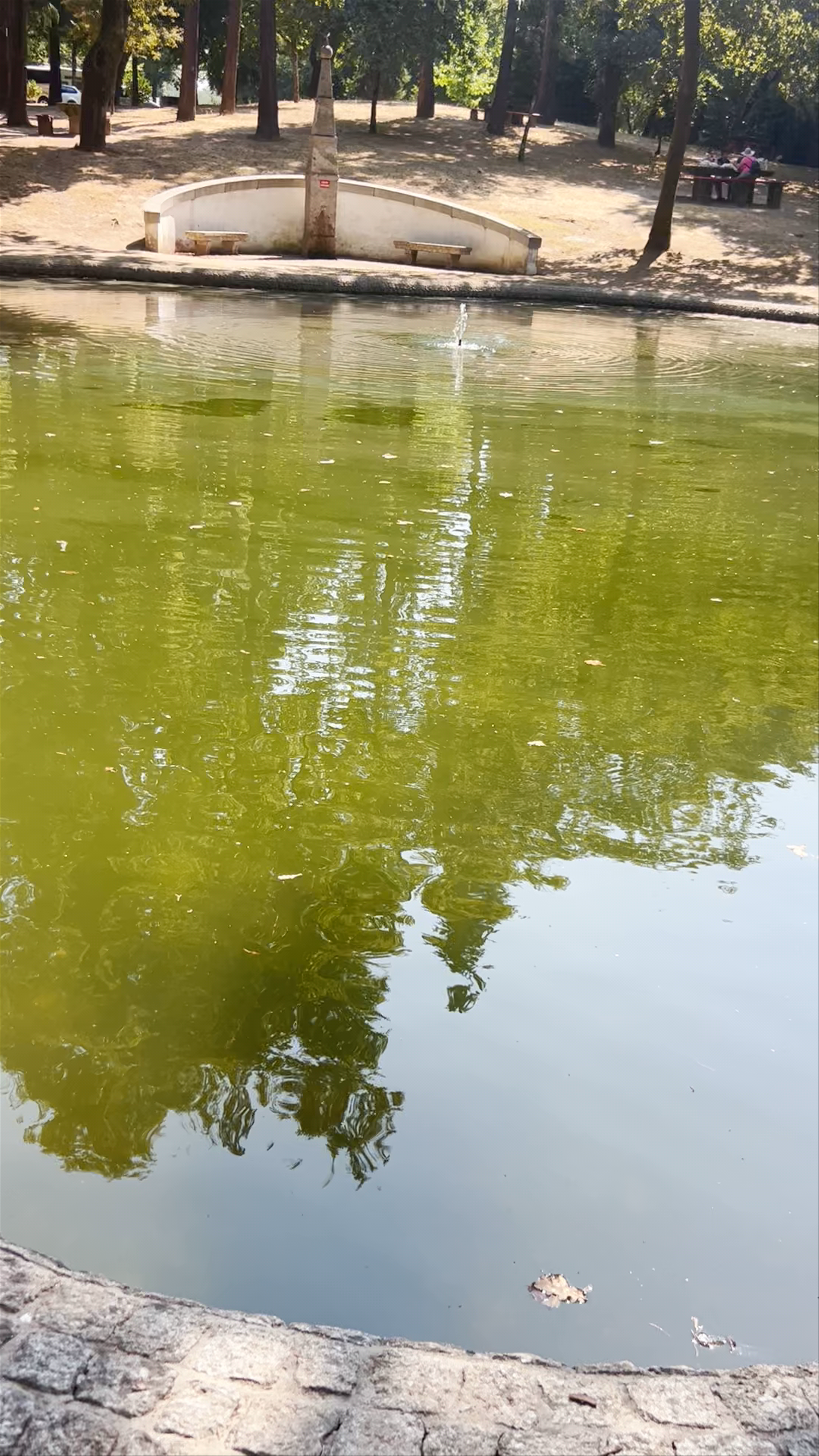 Parque Infantil do Bom Jesus