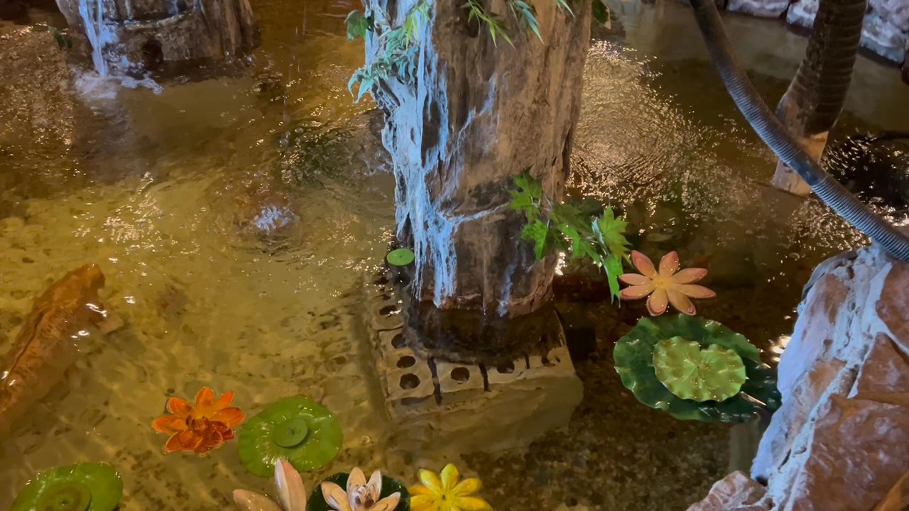 Sapporo - Fountain and fish - Sushi Bars Near Me - Georgetown, Kentucky