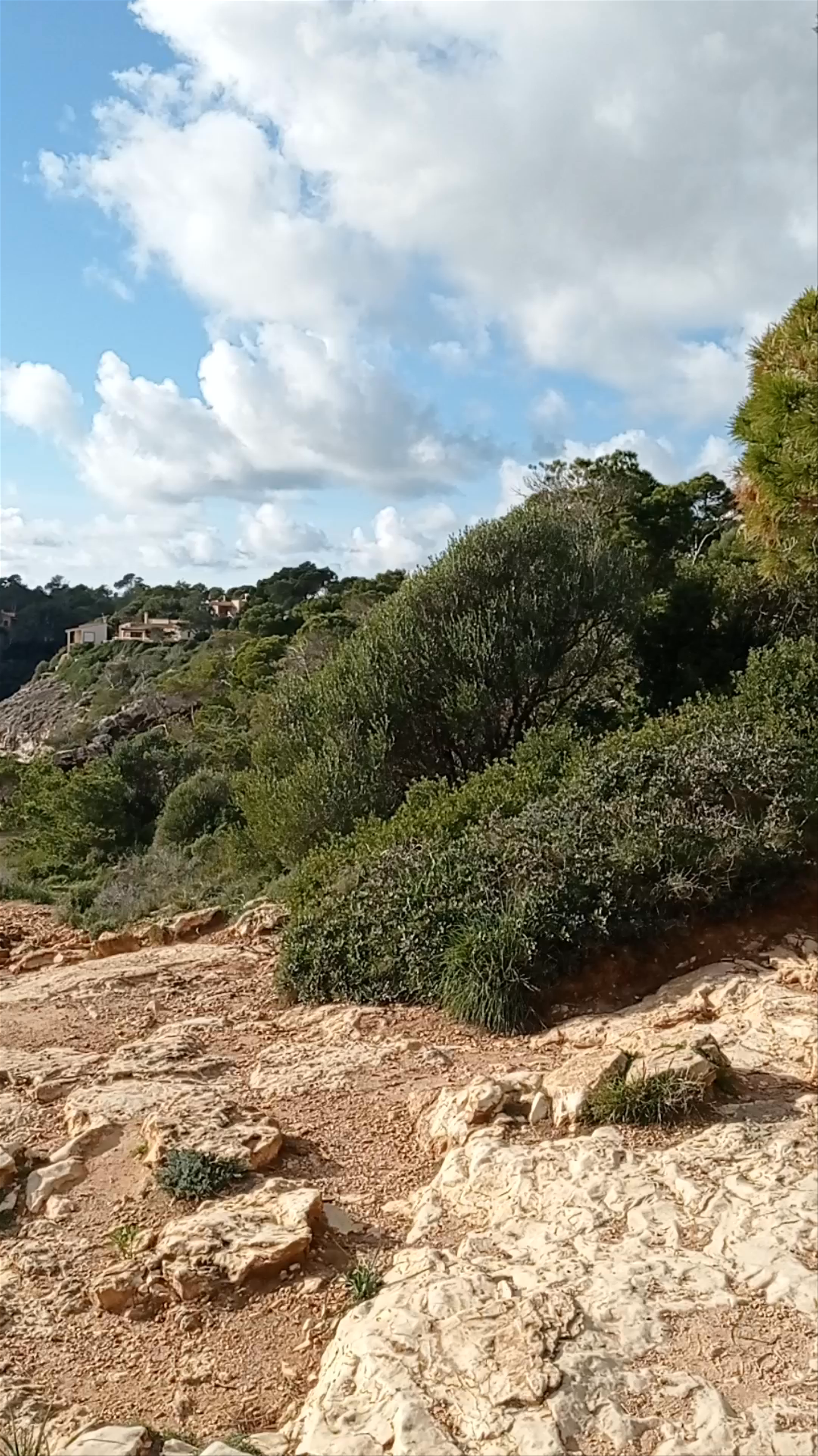 Es Pontàs