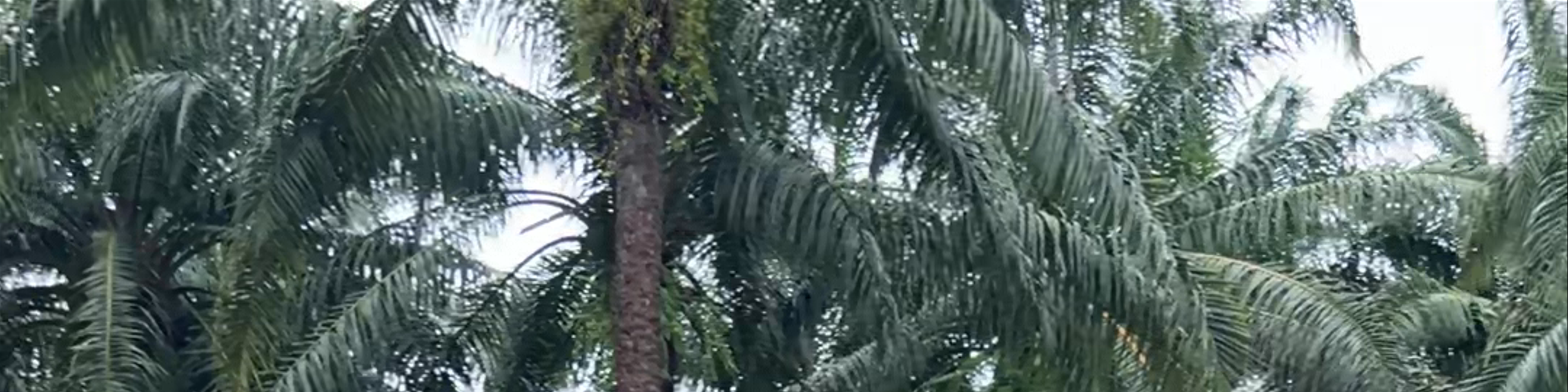 Ban Ao Nang
