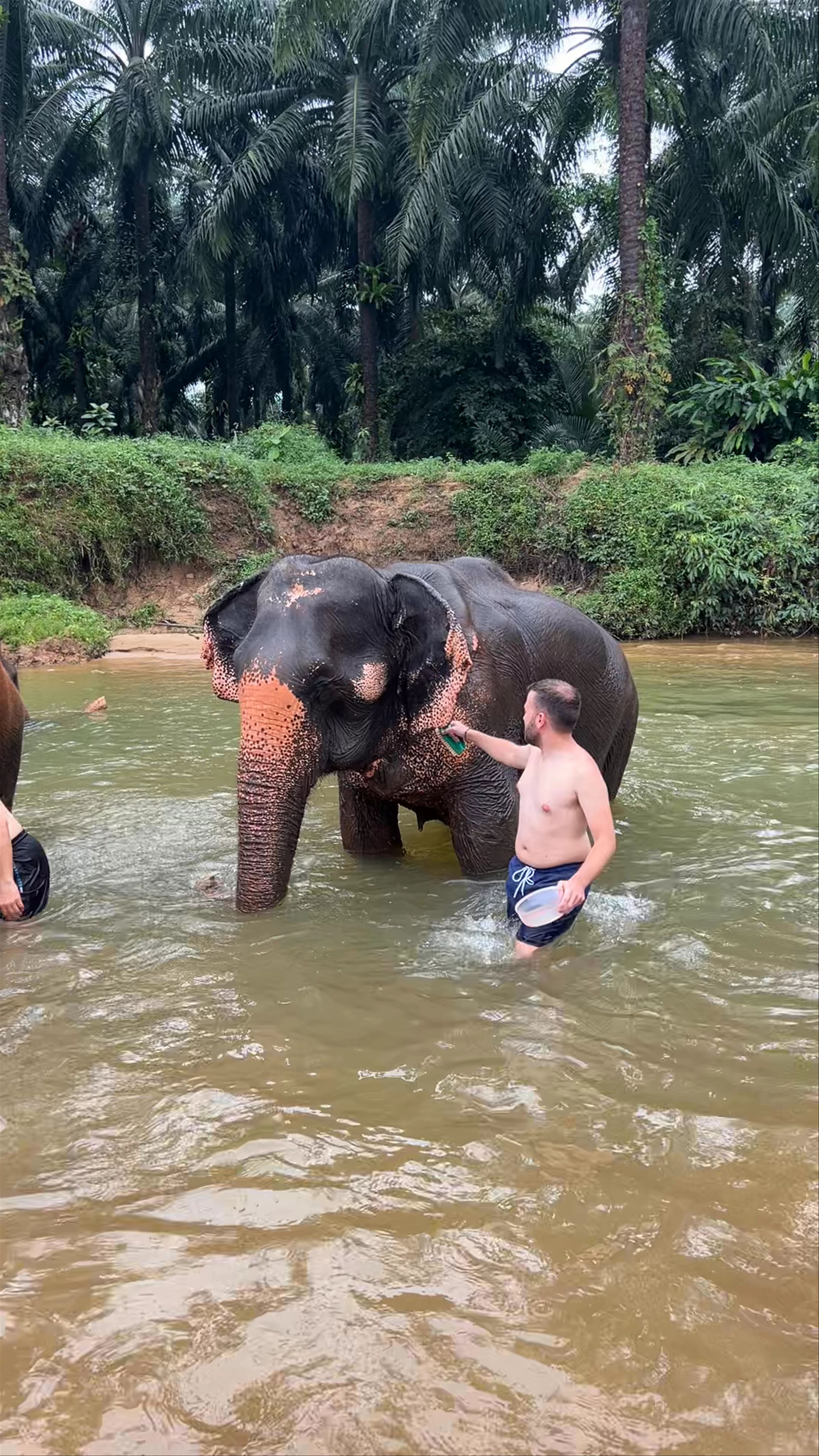 Krabi Elephant Shelter, Ao Nang, Mueang Krabi District, Krabi, Thailand