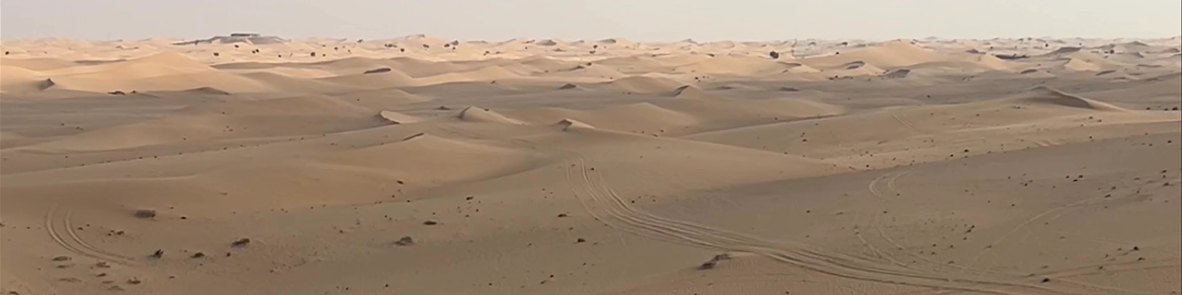 4x4 Desert Safari Tours