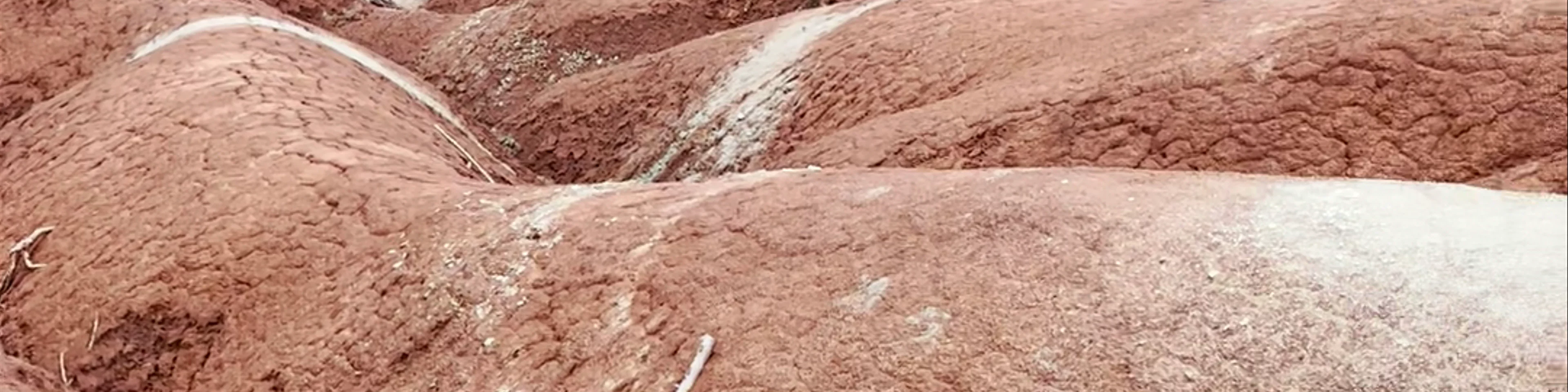Cheltenham Badlands (reservations recommended)