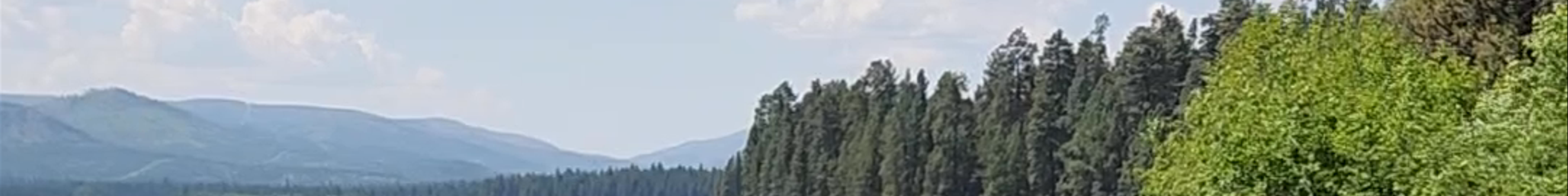 Tours & experiences in Seeley Lake