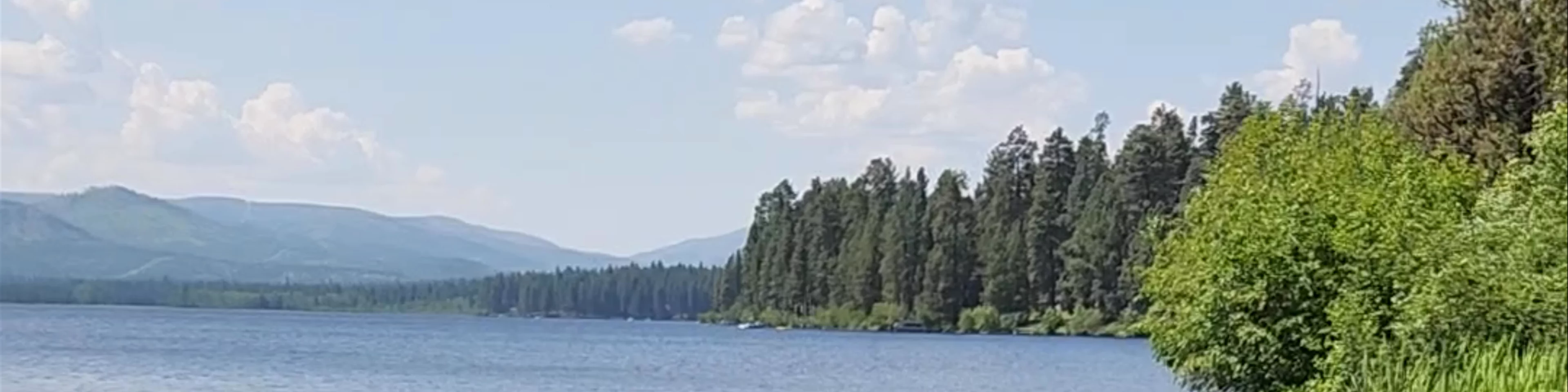 Placid Lake