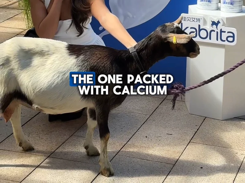 Kabrita Goat Milk