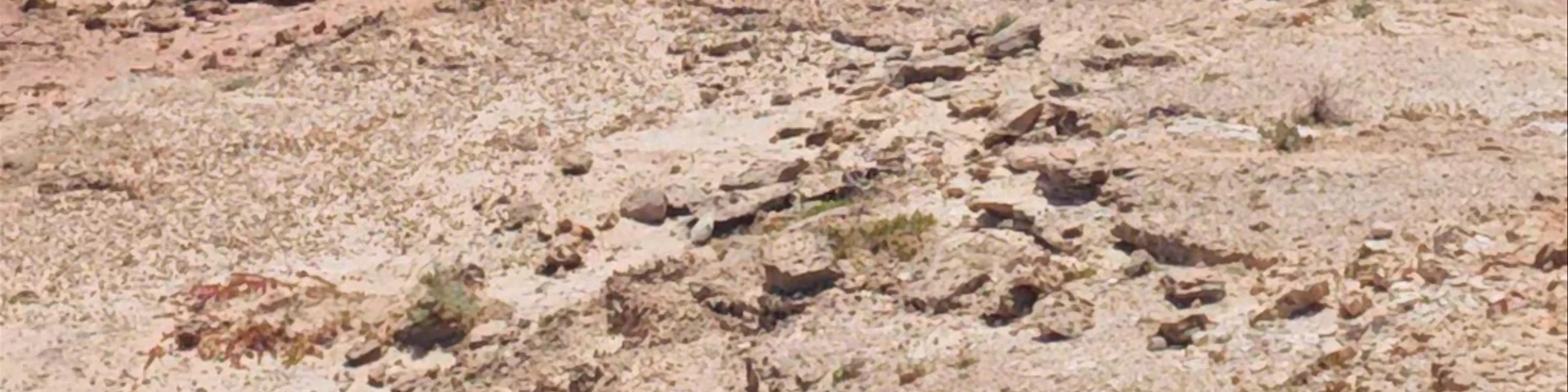 Mushroom Rock
