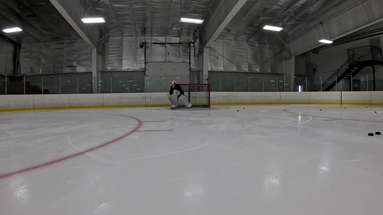 Lilleah Tittle's Impressive Net Training with Goalie Coach