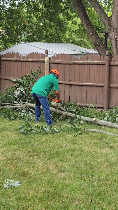 J & J Tree Services - Tree Services Near Me
