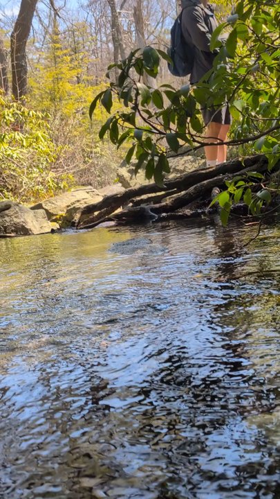 Sam's Point Area - Cool water - Hiking Near Me - Cragsmoor, New York