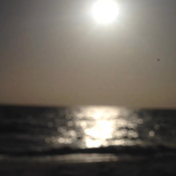 Horizon Way - Enjoying the sand on Horizon Beach North Naples. - Beaches Near Me - Naples, Florida