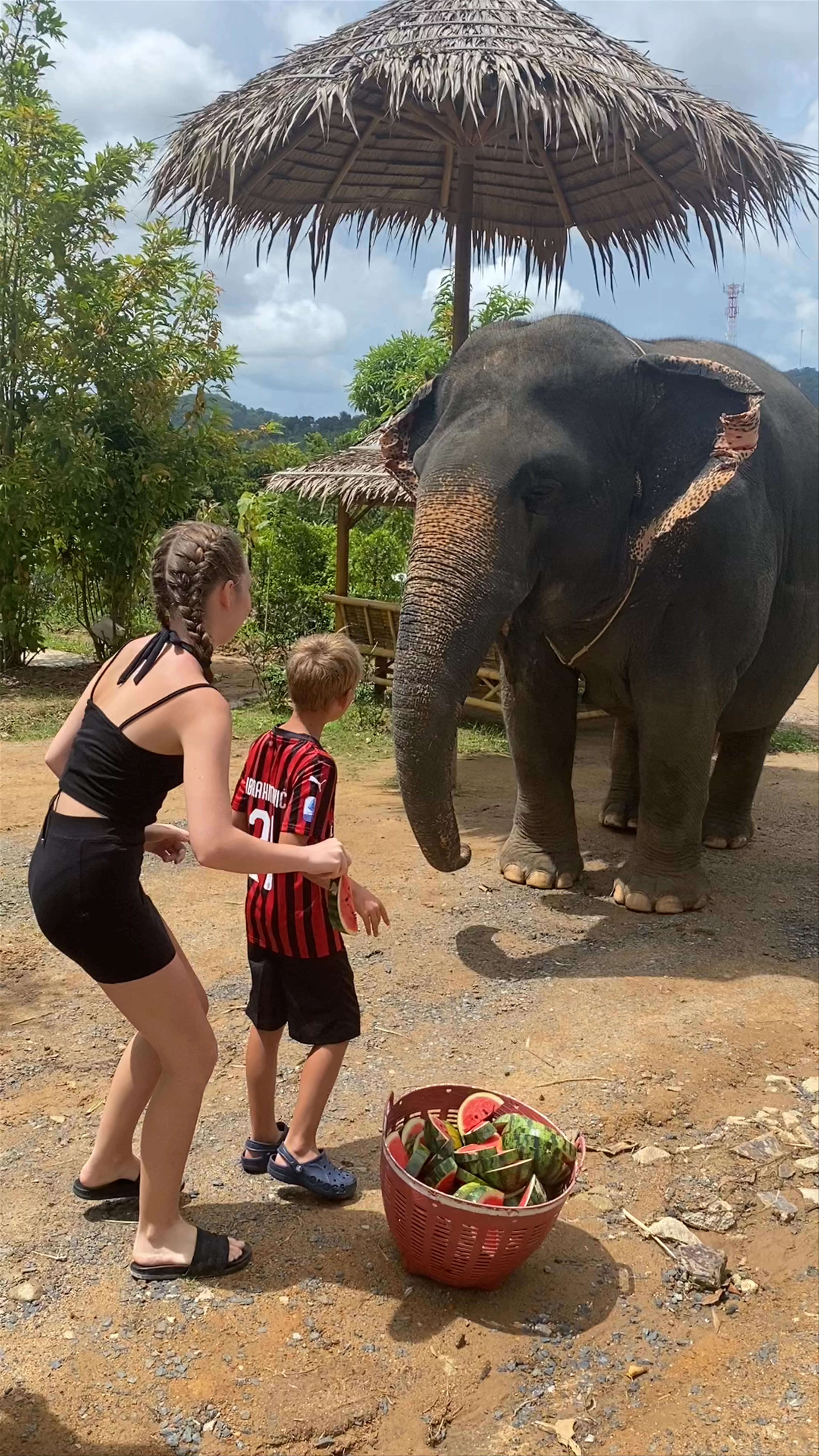 Phuket Elephant Sanctuary