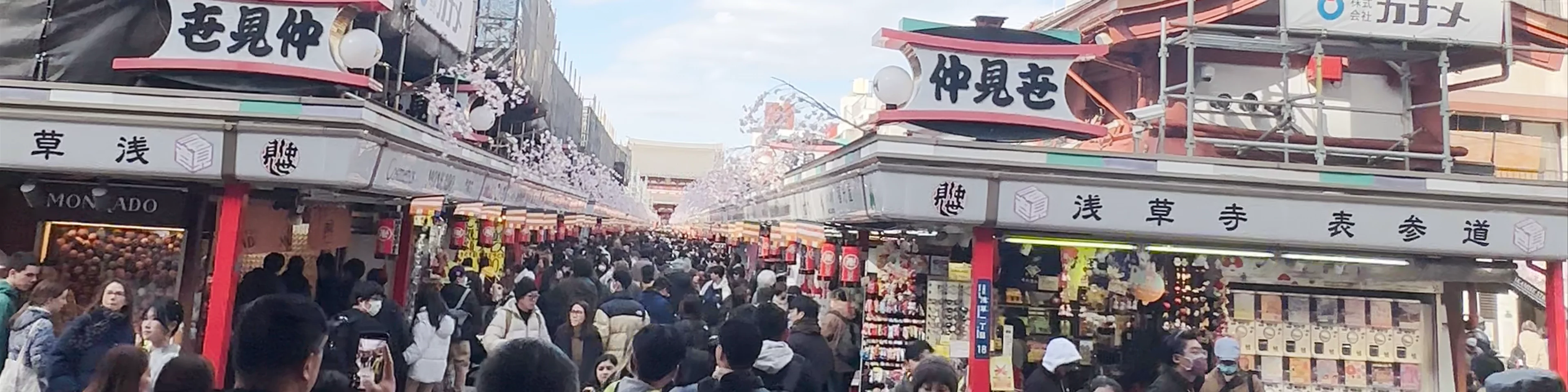 Kaminari mon