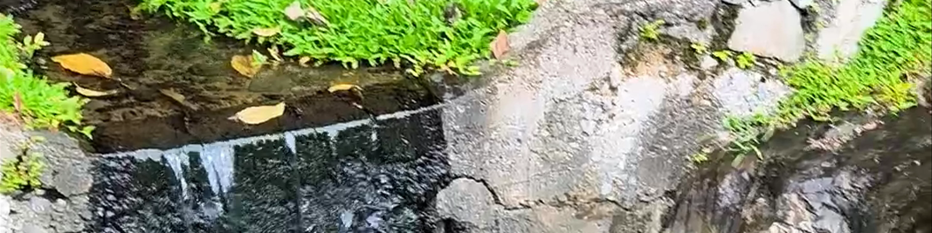 Poring Hot Spring