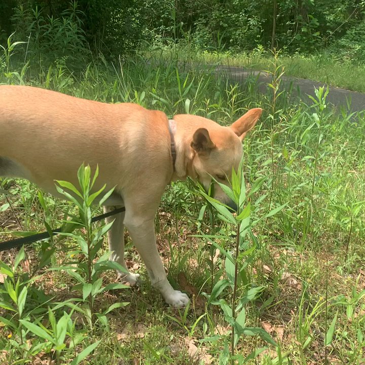 Buhlow Lake Recreation Area - Jac even gets a snac - Parks Near Me - Pineville, Louisiana
