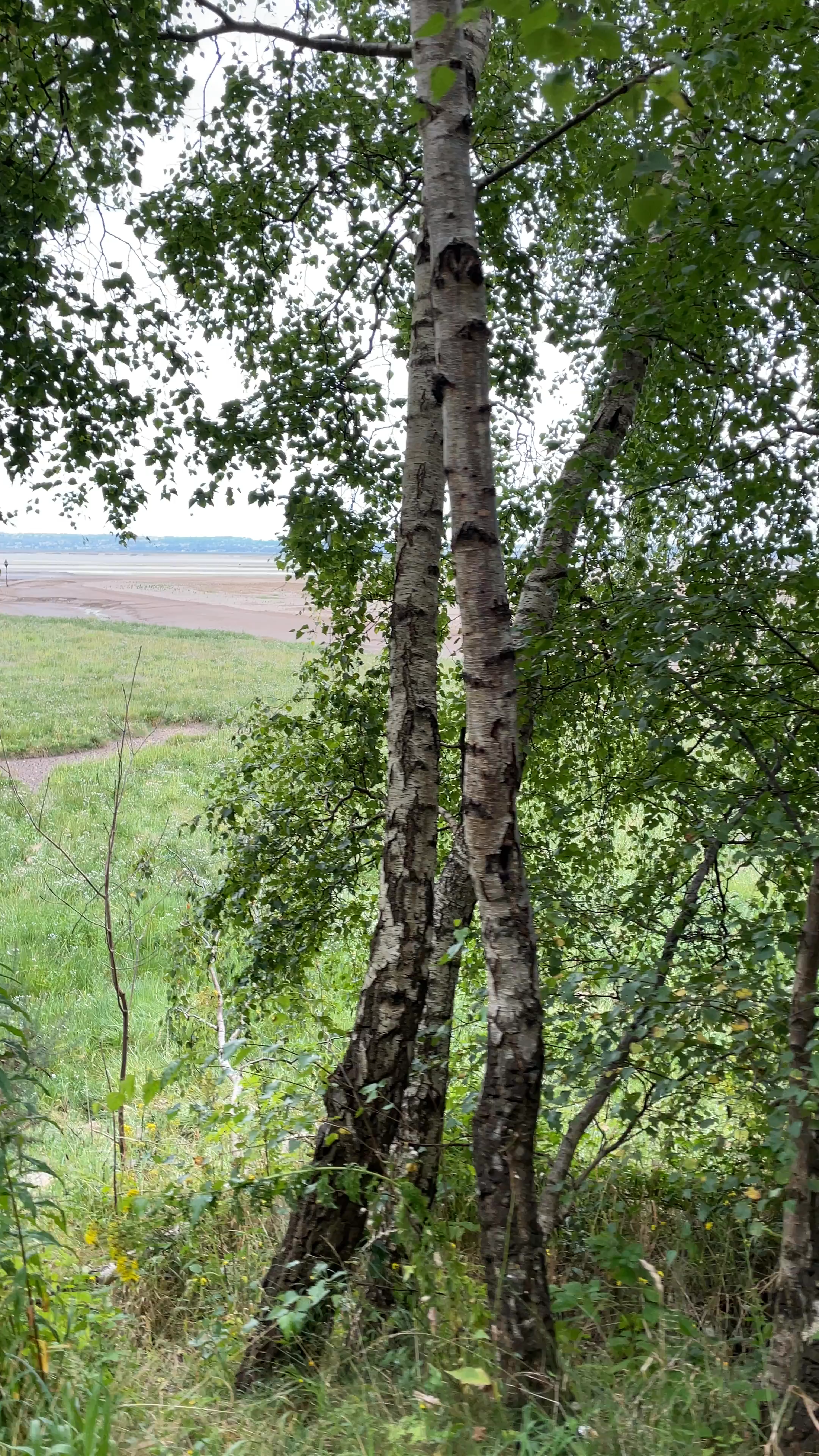 RiverDee Community Church