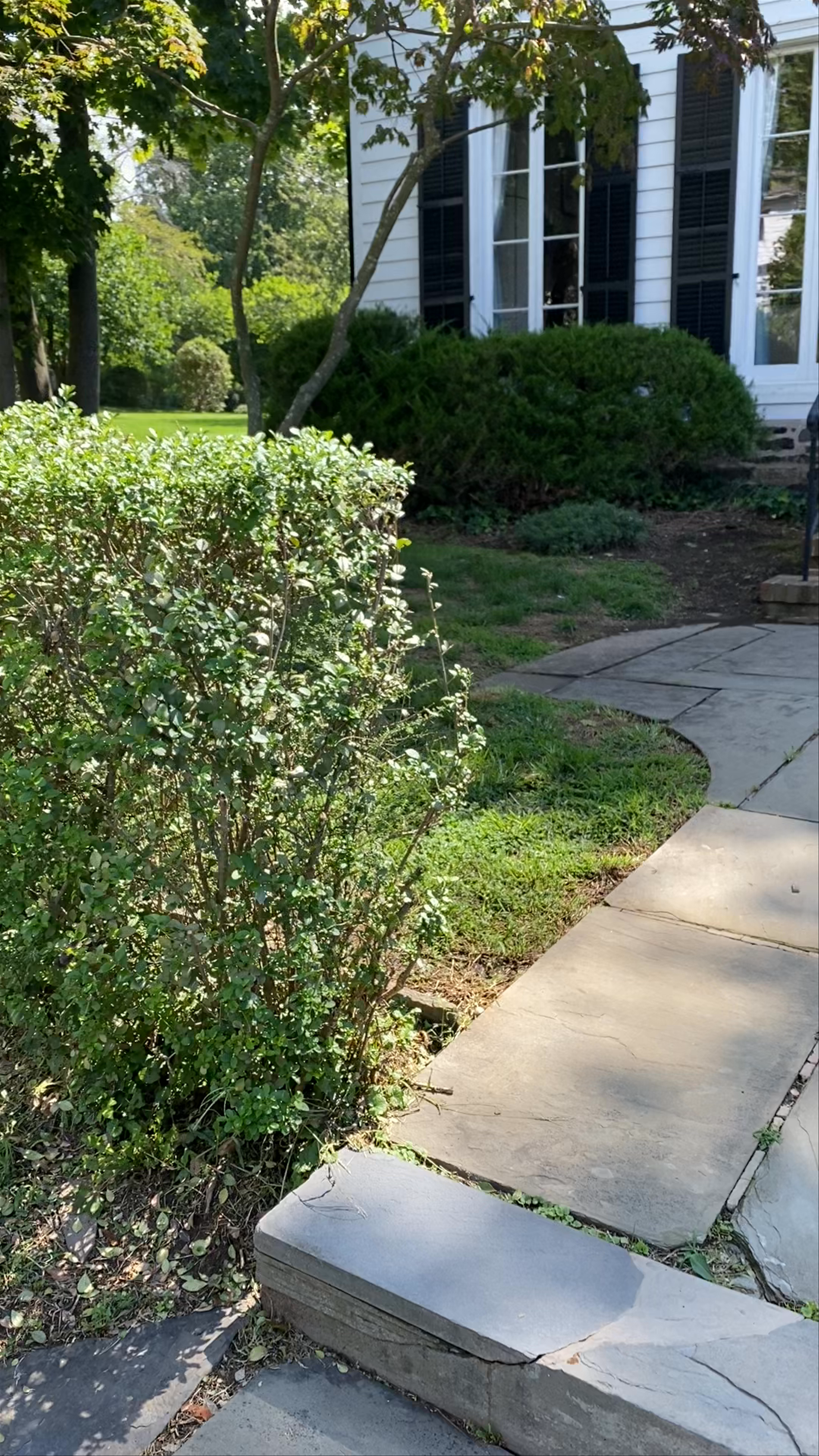 Albert Einstein House