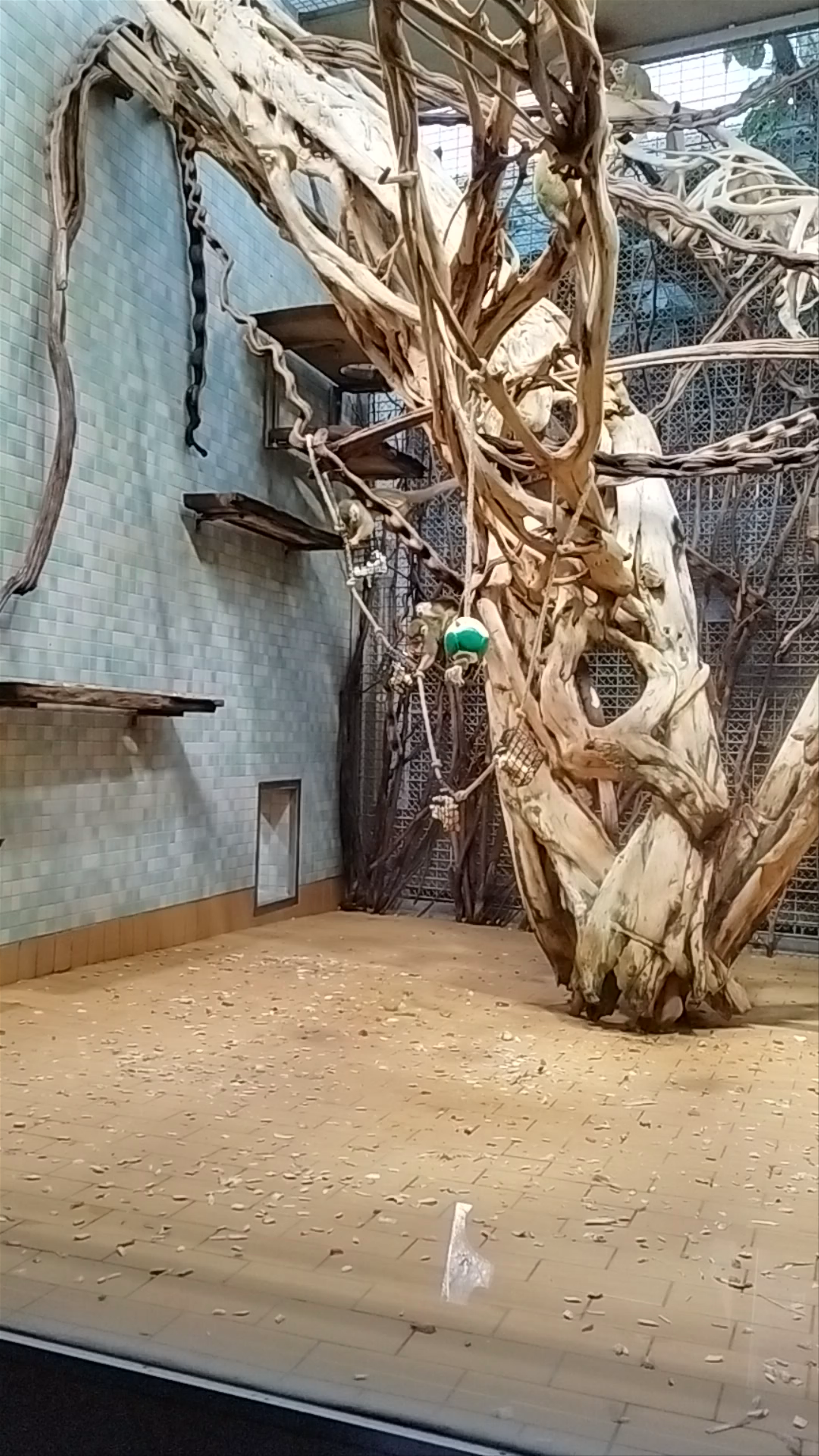 Zoo Berlin