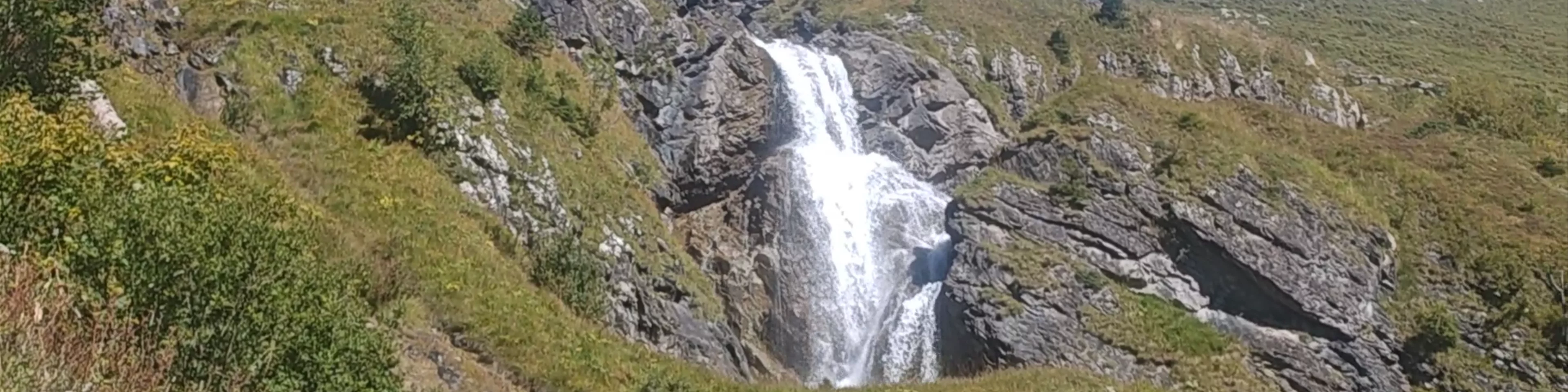 Stäubifall