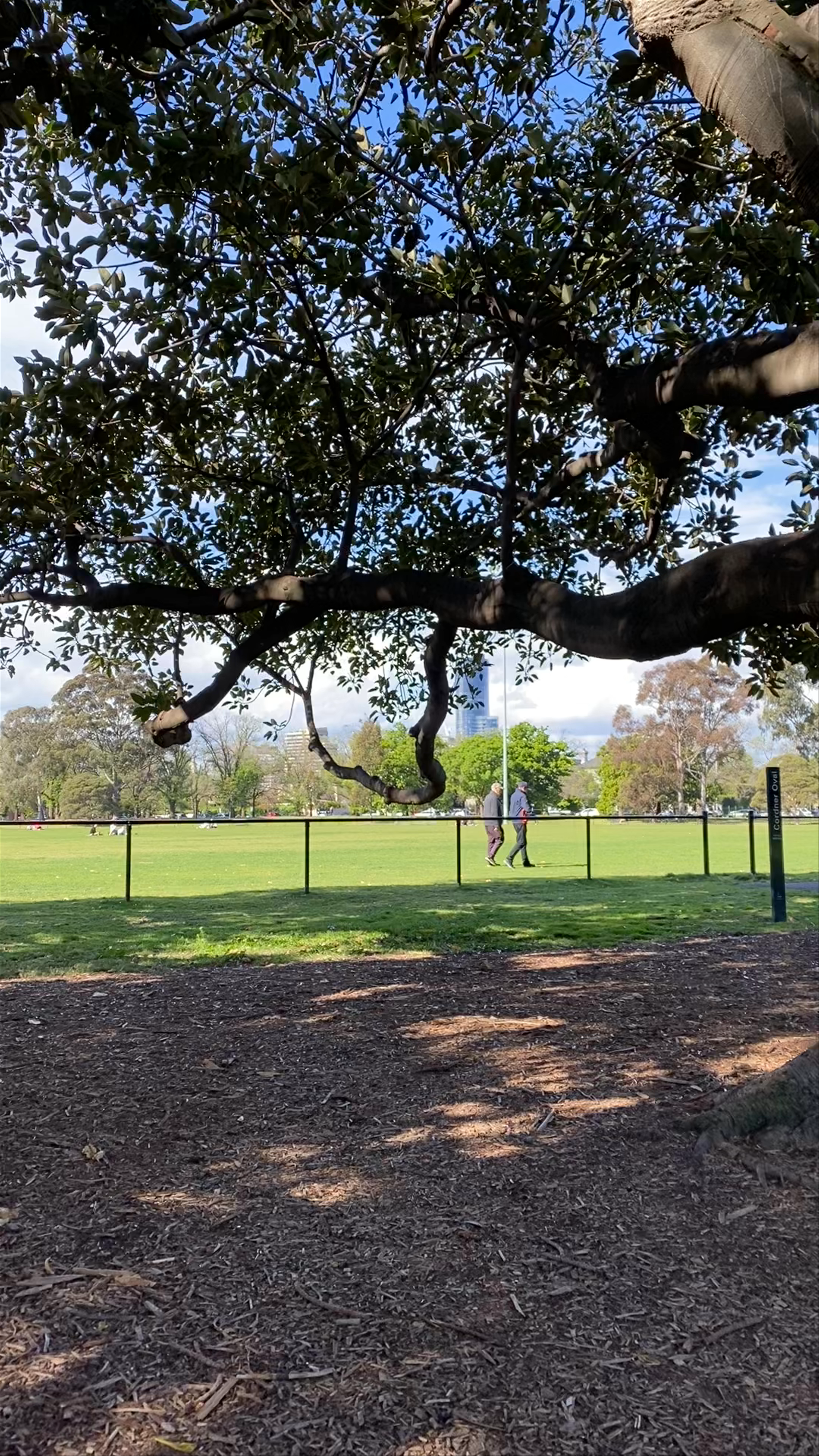 Serene Autumn Walk Through Fawkner Park in South Yarra